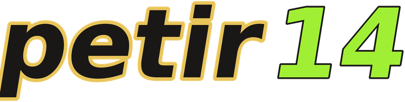 petir14 logo